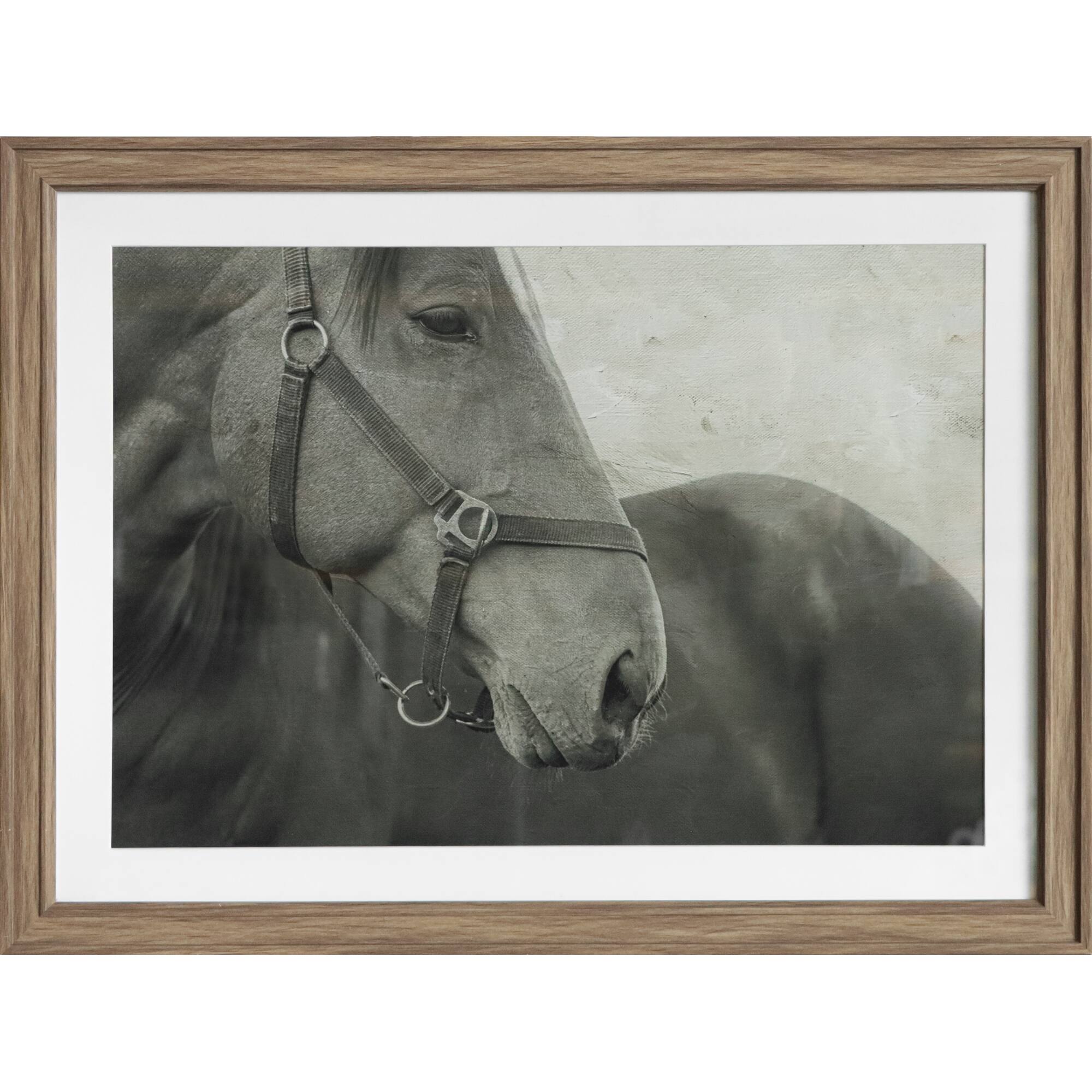 24" x 18" Sepia Horse Framed Wall Décor by Ashland®